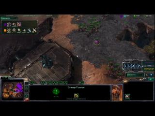 starcraft - mri1 - mouz vs root - game one (morrow vs kiwikaki)